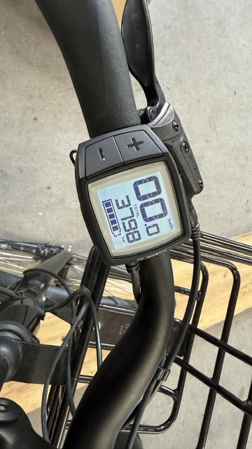 Batavus Brun Palermo E-Go - 53 cm
