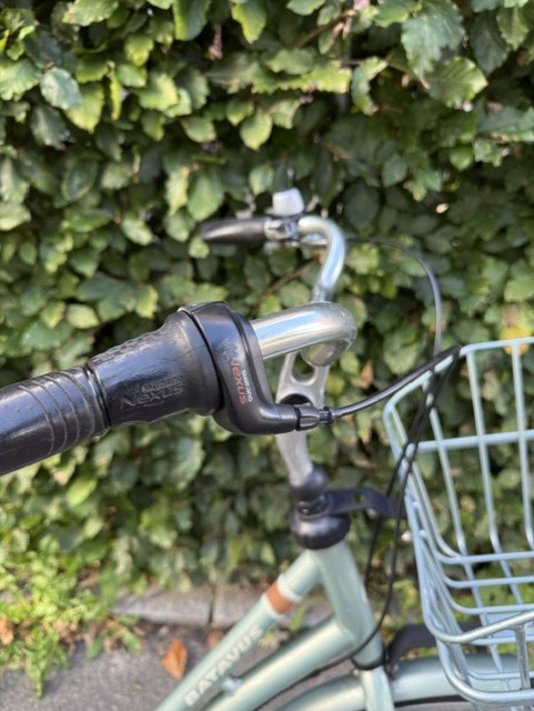 Batavus Crystal Green Dover - 55 cm