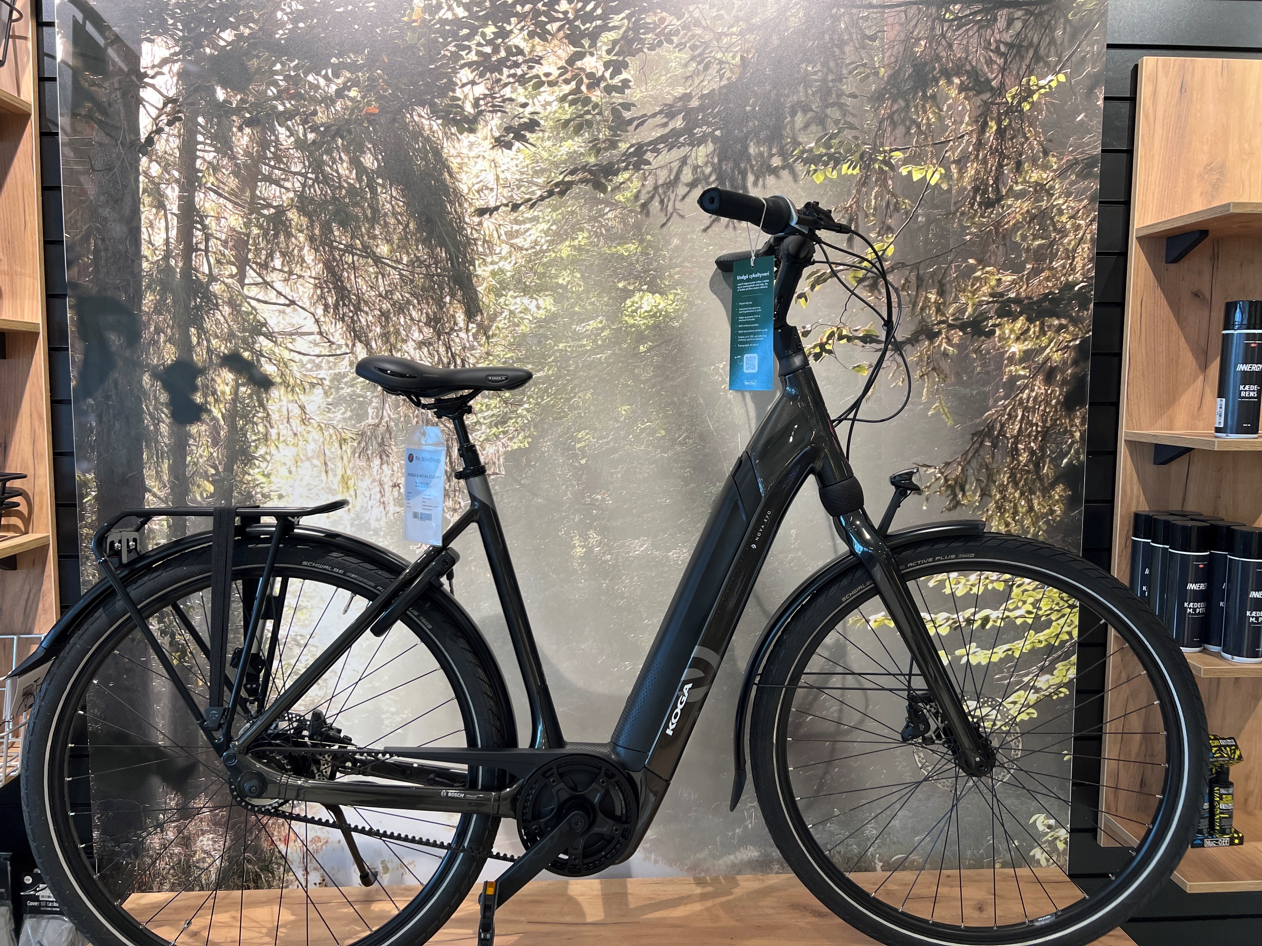 KOGA Brun E-Nova Evo PT - 56 cm