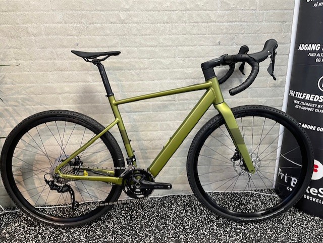 Speedster Gravel eRIDE 50 - L