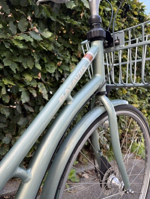 Batavus Crystal Green Dover - 55 cm
