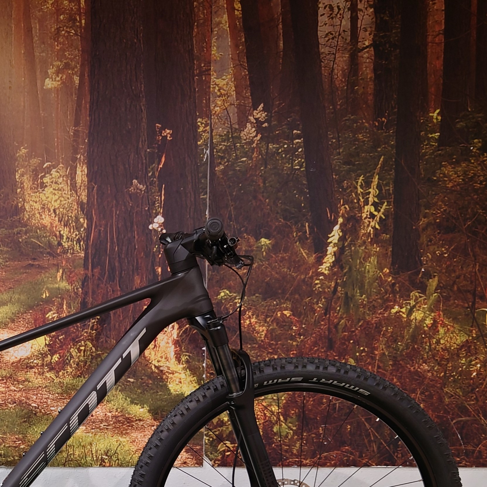 SCOTT Raw Carbon Scale 940 - M