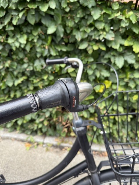 Batavus Mat Sort Brighton - 54 cm