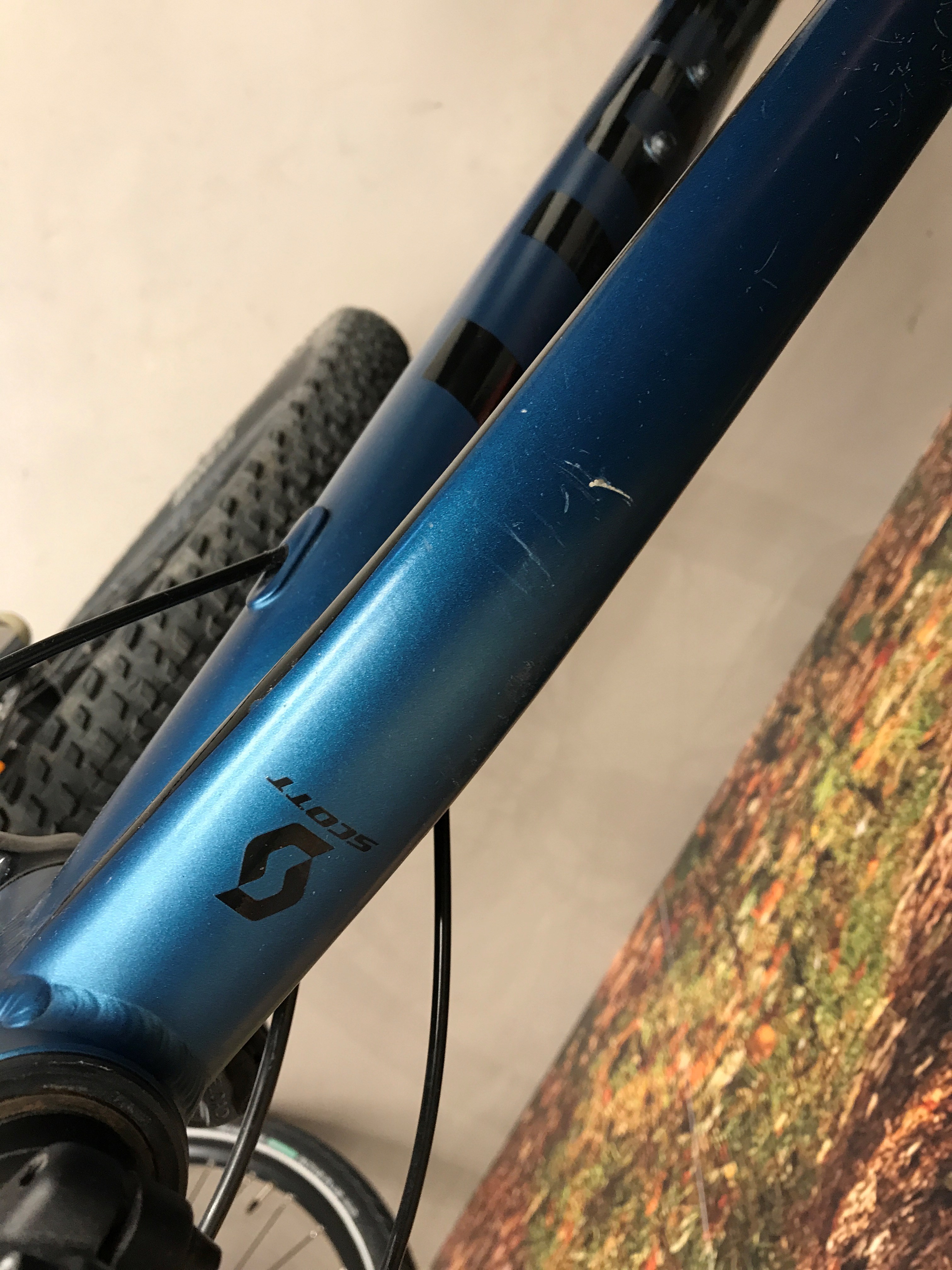 SCOTT Enebær Blå Aspect 765 - XS