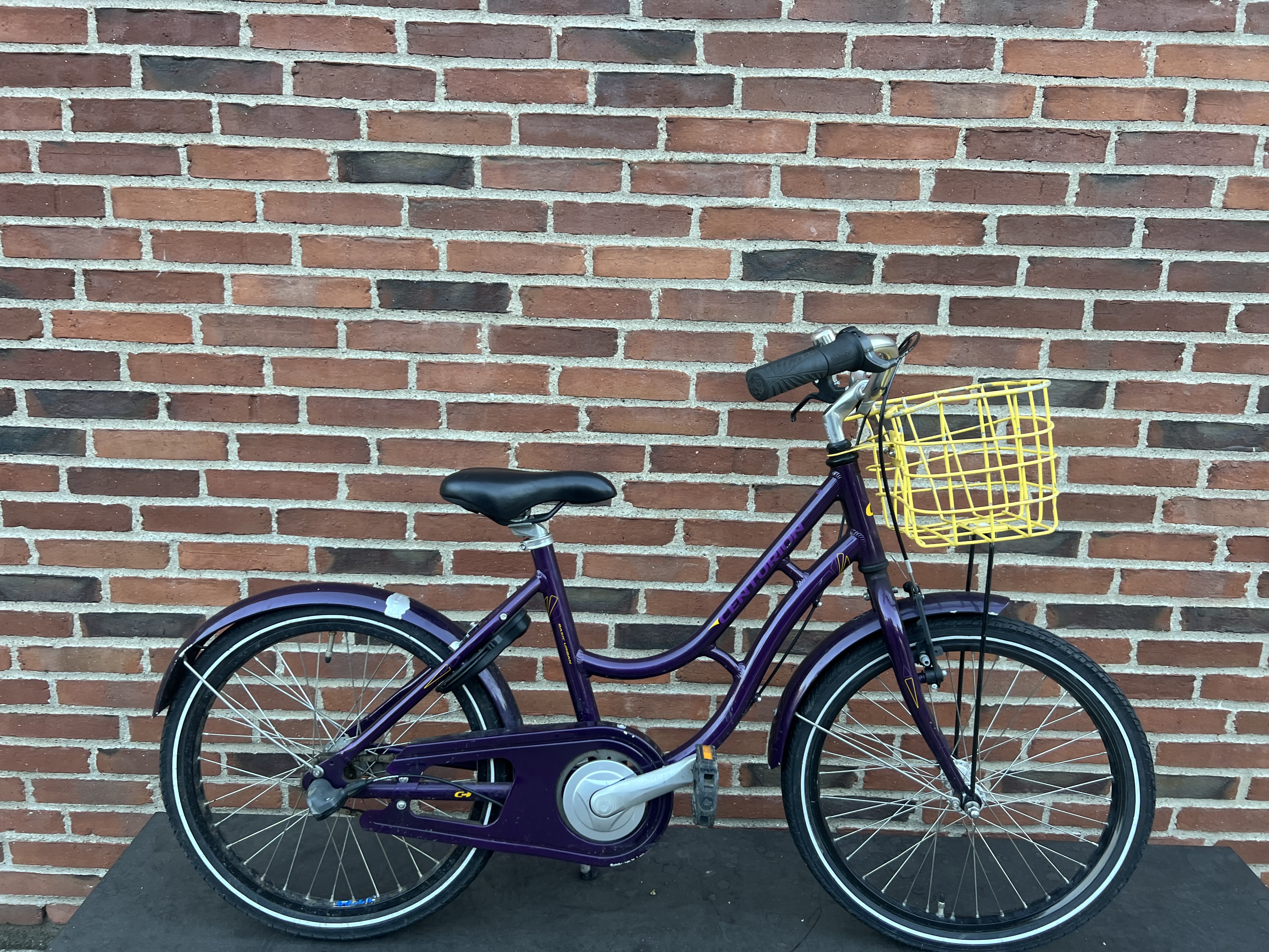 Basic Urban - 20"