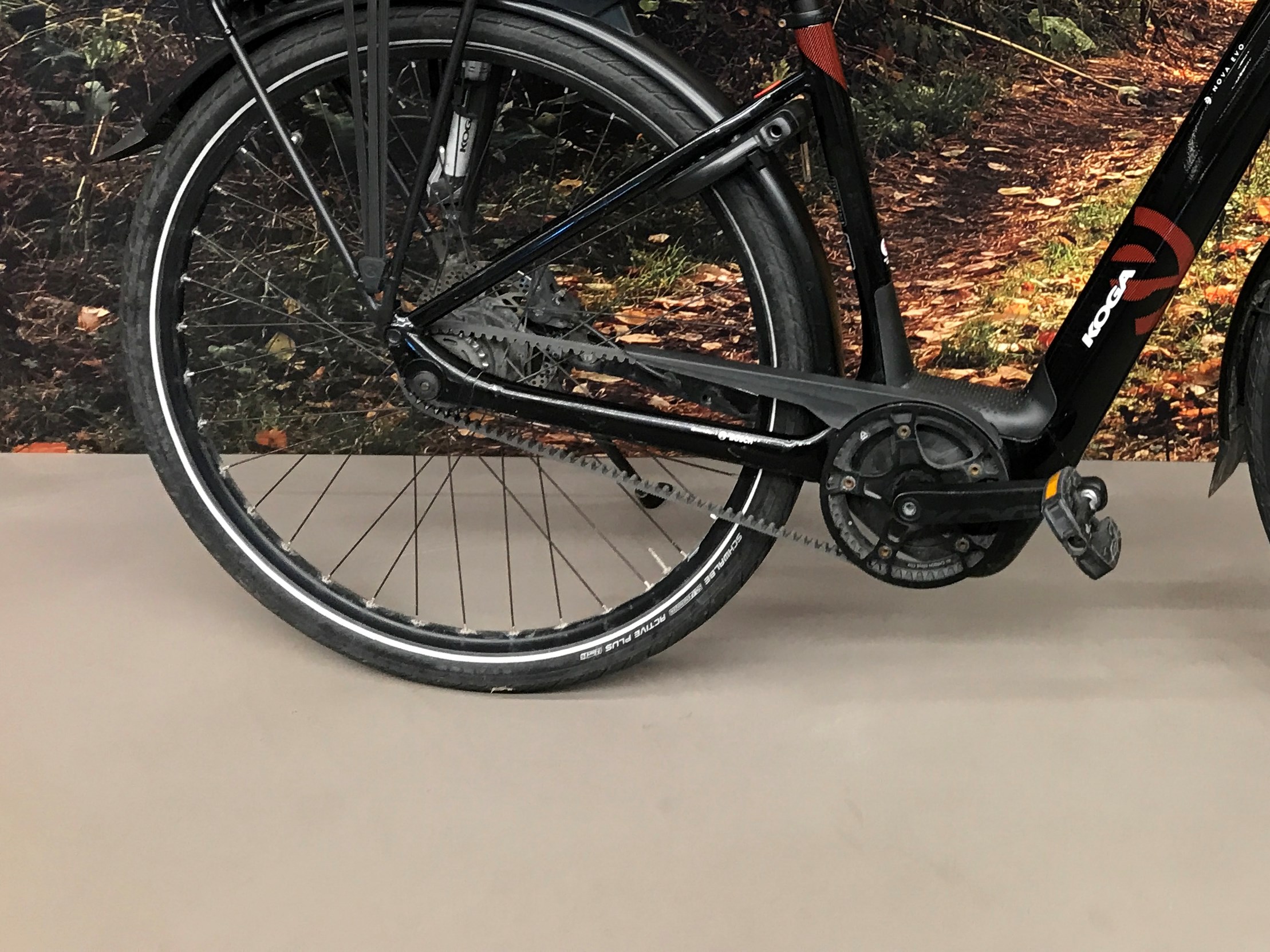 KOGA Blank Sort E-Nova Evo - 47 cm