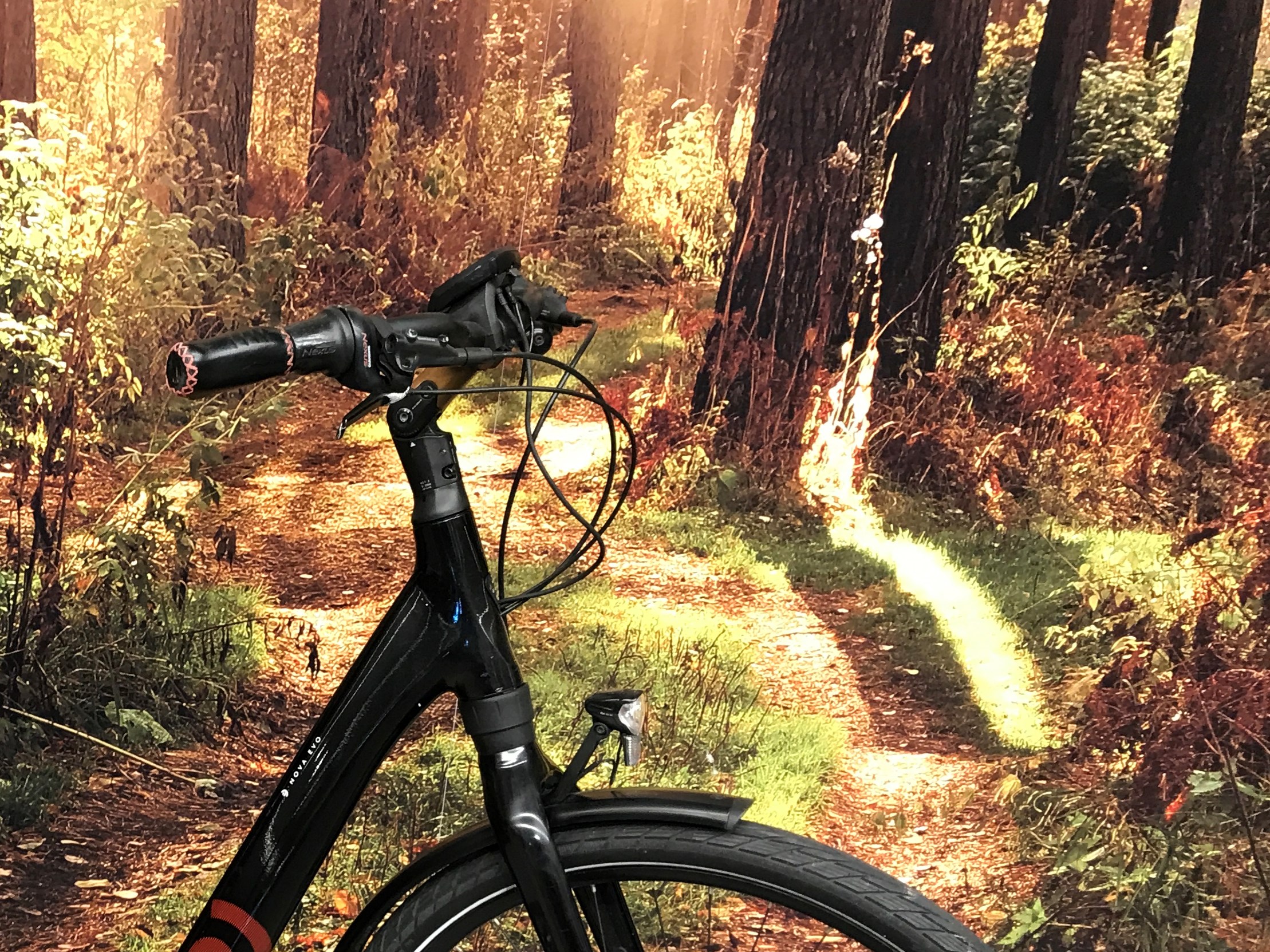 KOGA Blank Sort E-Nova Evo - 47 cm