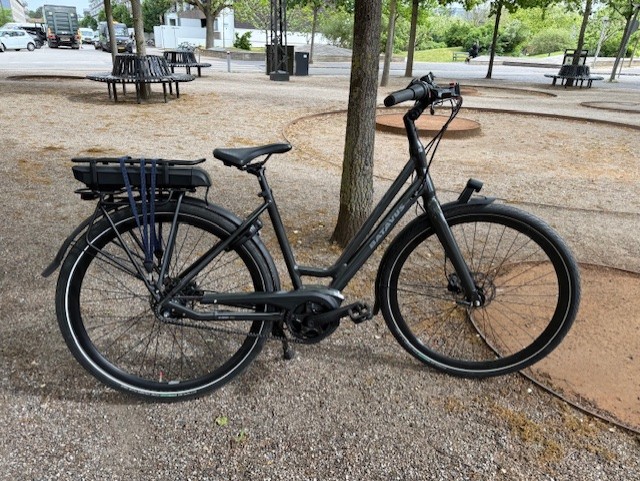 Dinsdag E-Go Exclusive Classic - 48 cm