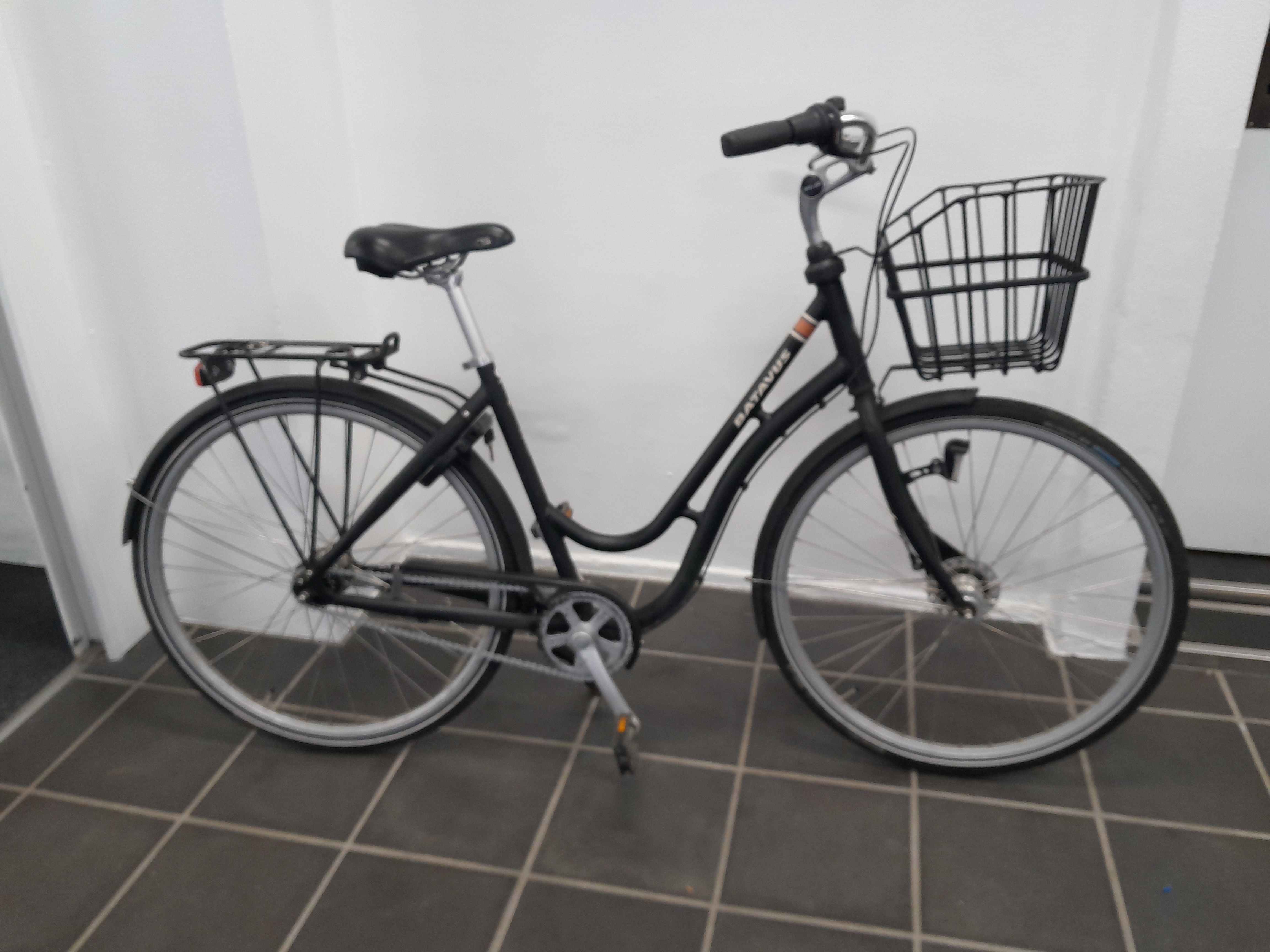 Dover LTD - 51 cm
