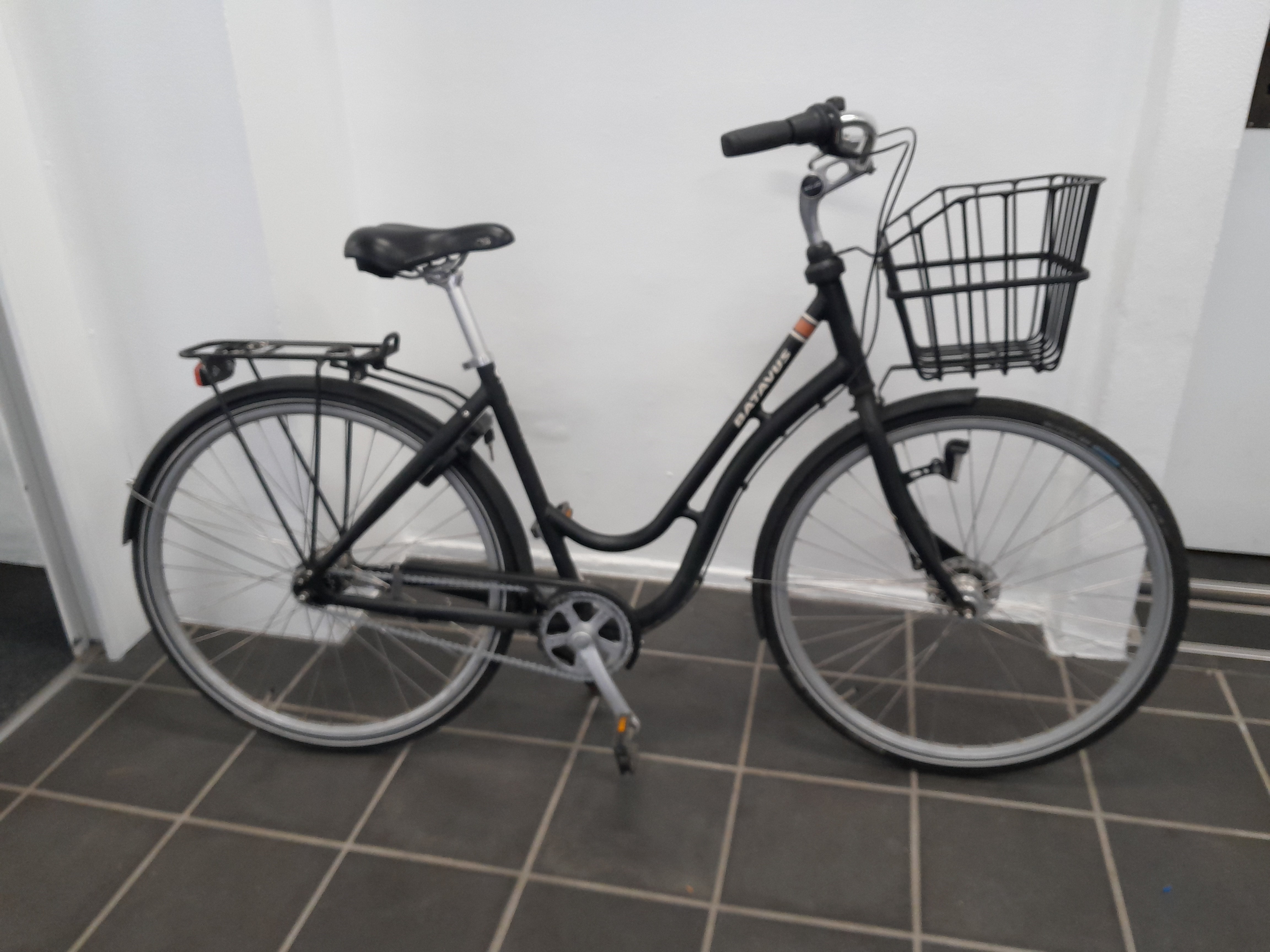 Dover LTD - 51 cm