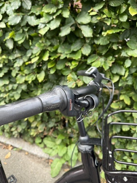 Batavus Brun Palermo E-Go - 53 cm