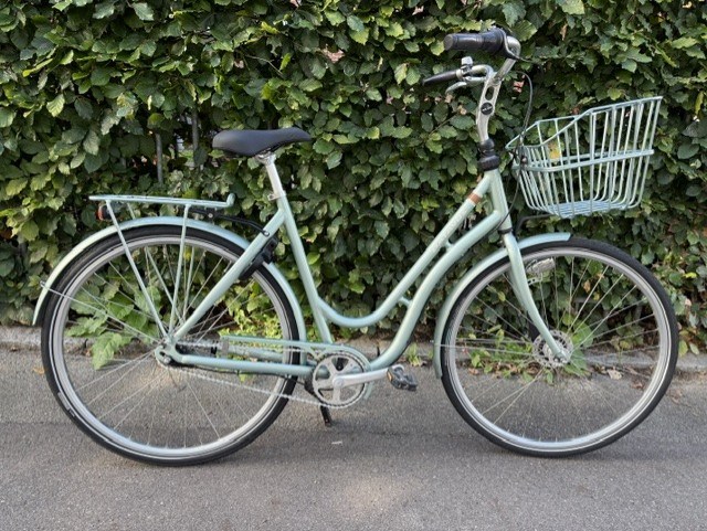 Batavus Crystal Green Dover - 55 cm