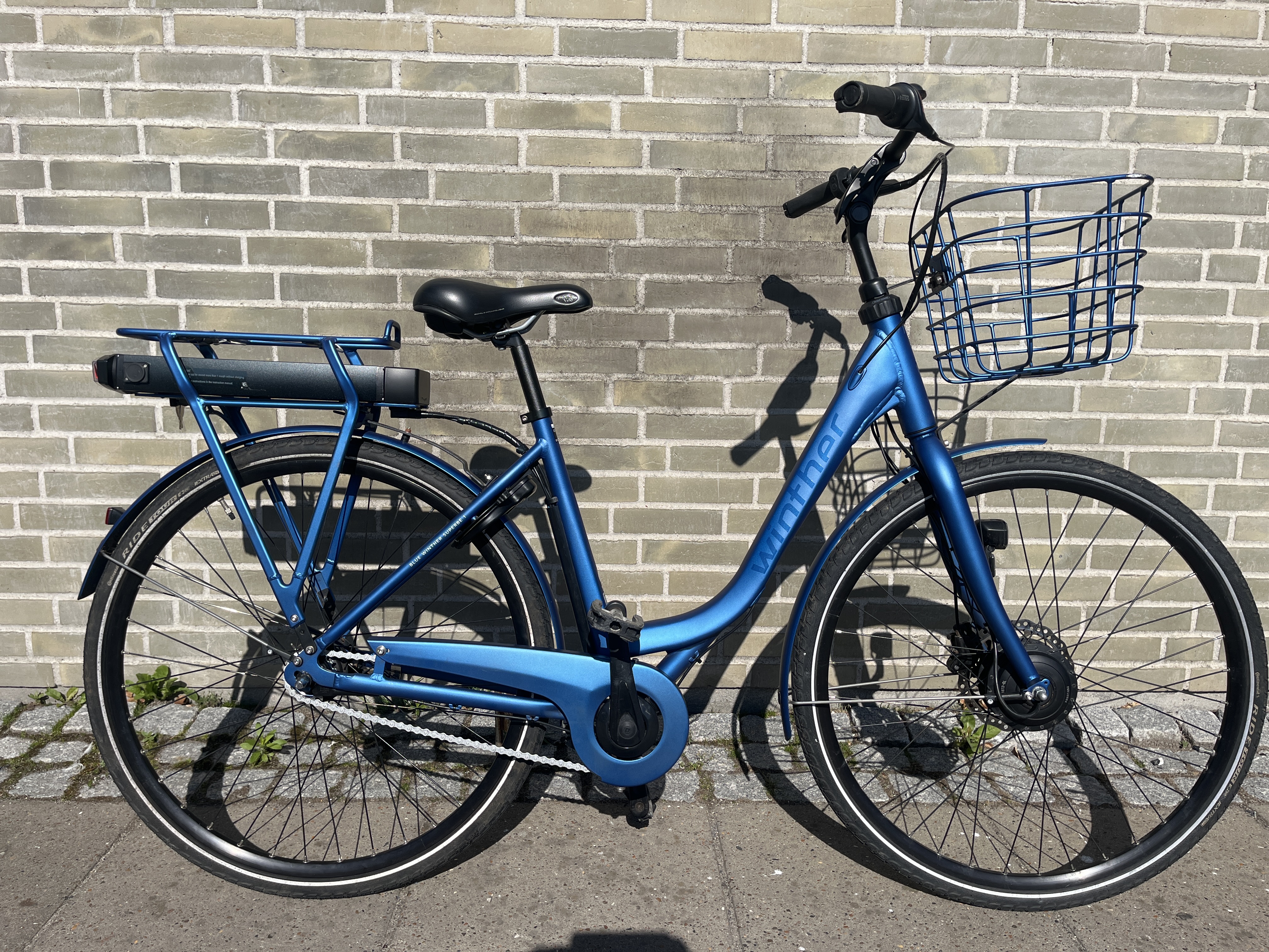 Blue Superbe 1 - 48 cm