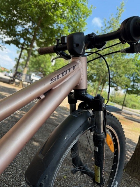SCOTT Lyserød Contessa 20 - 20"