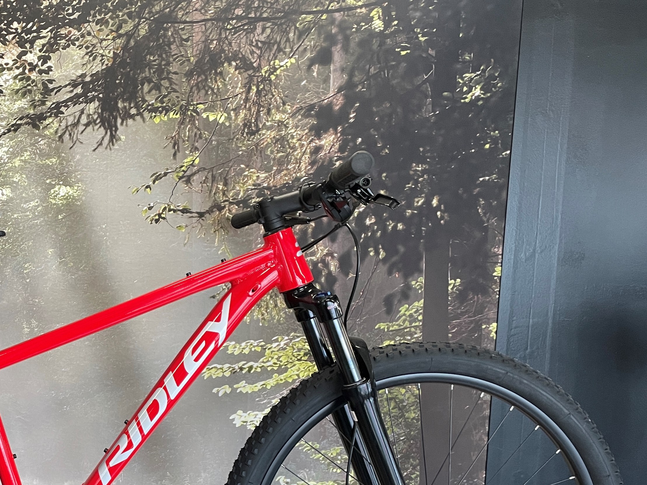 Ridley Rød BLAST CUES 9 - M