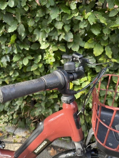 Batavus Mahogany Red Brown Altura E-Go Power - 56 cm