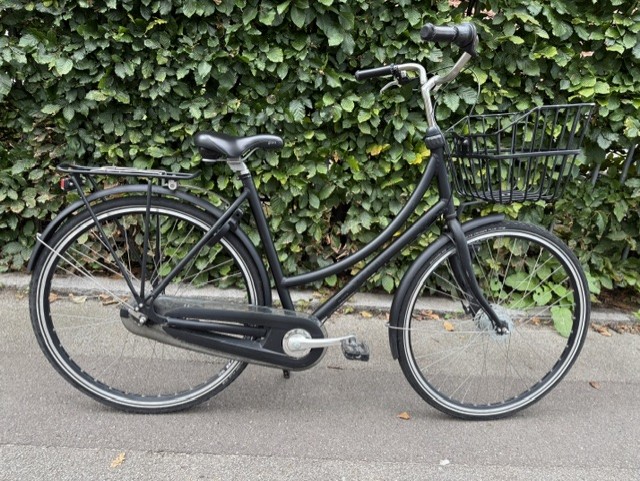 Brighton - 54 cm