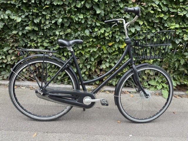 Brighton - 54 cm