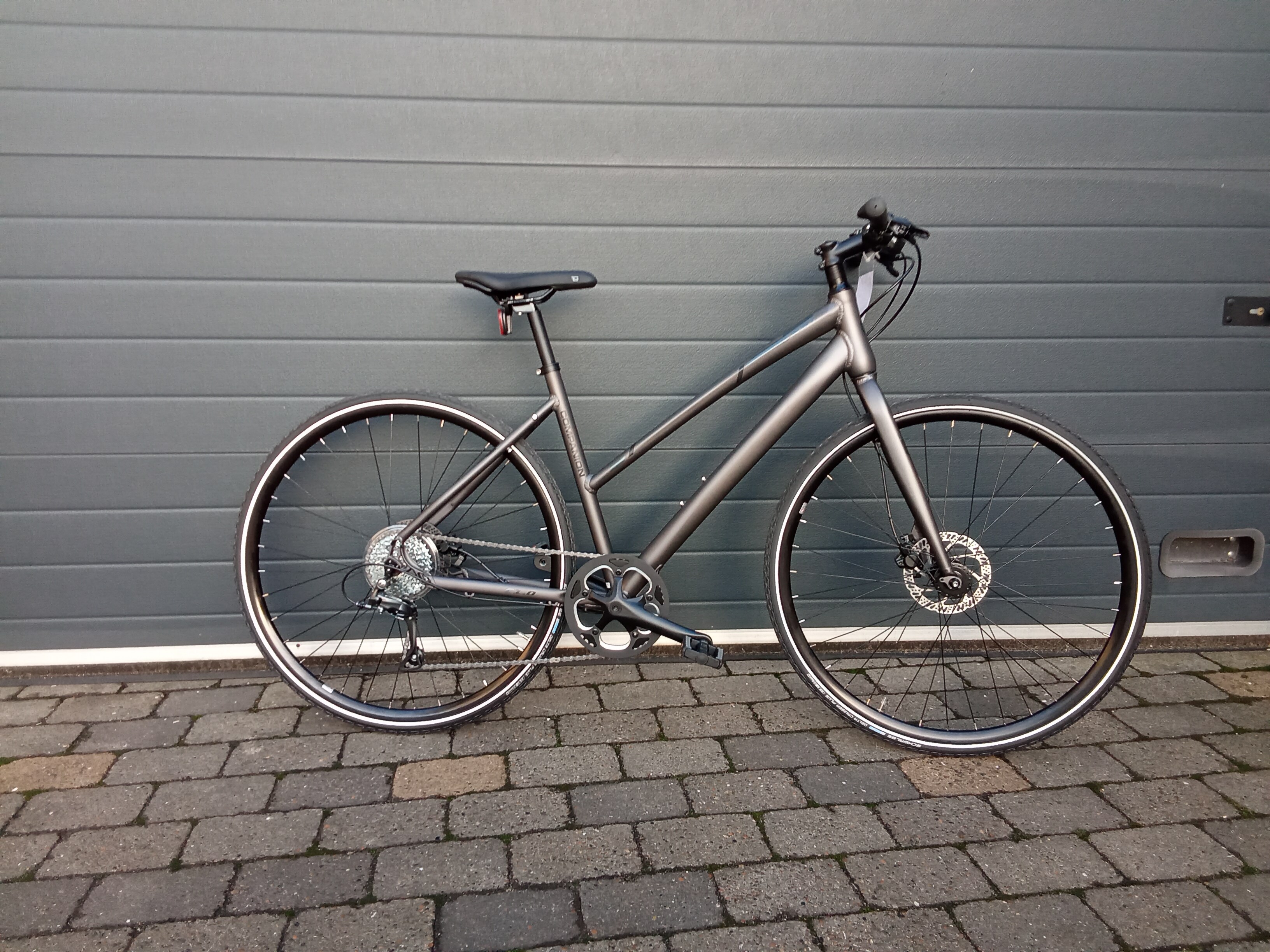 Companion Mat Grå C1.0 - 48 cm