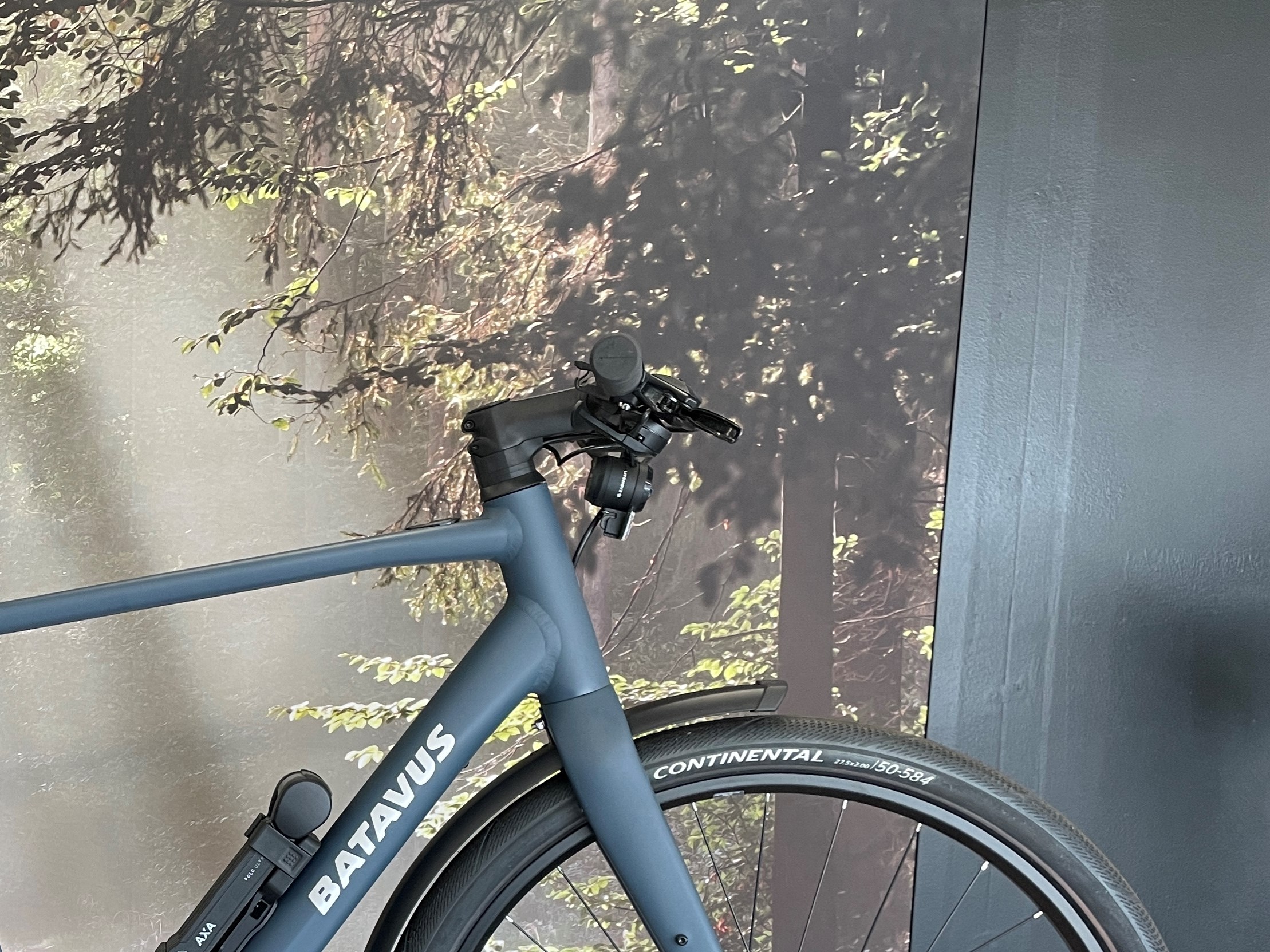 Batavus Blå Liner Sport - 55 cm