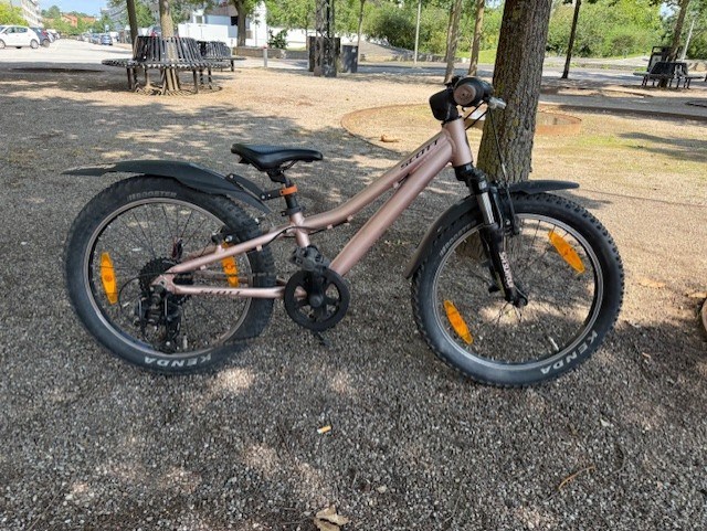 SCOTT Lyserød Contessa 20 - 20"