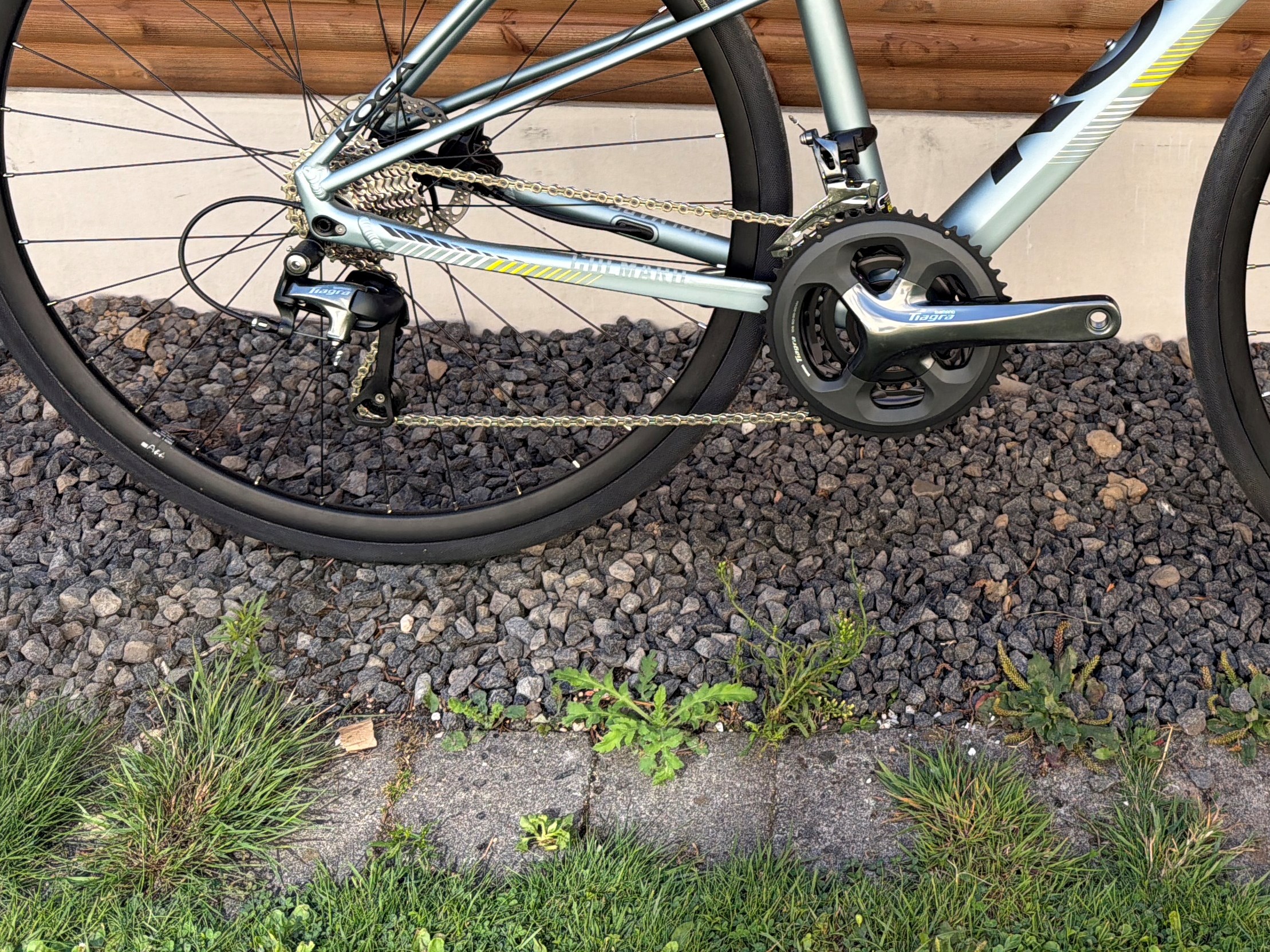 KOGA Sølv Colmaro Sports - 53 cm
