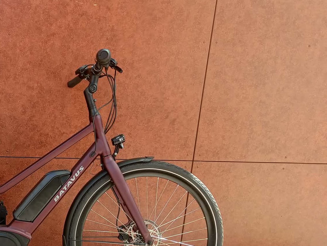 Batavus Dusty Rose Razer E-Go Limited - 53 cm
