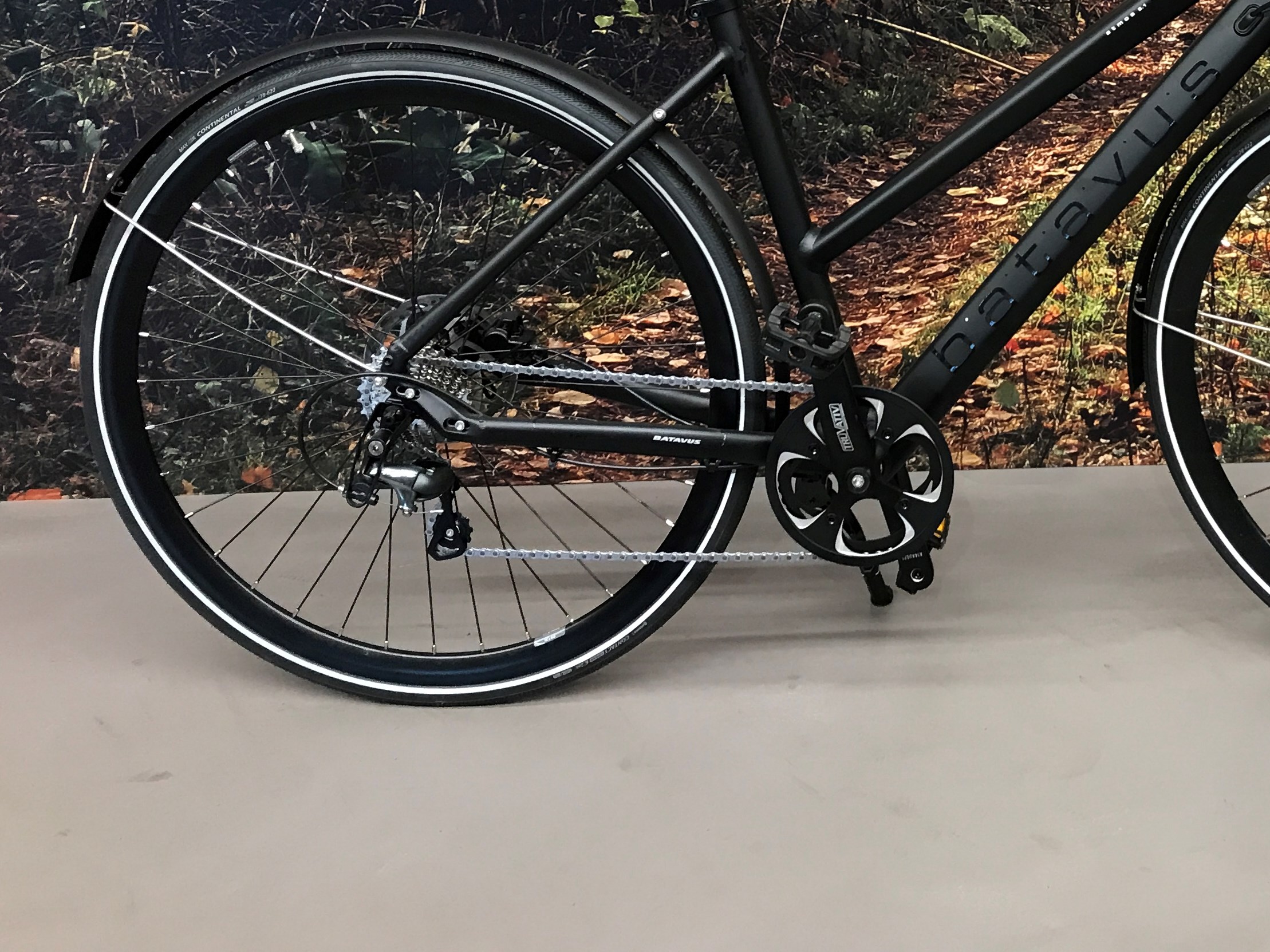 Batavus Sort Atmos 5.1 - 48 cm