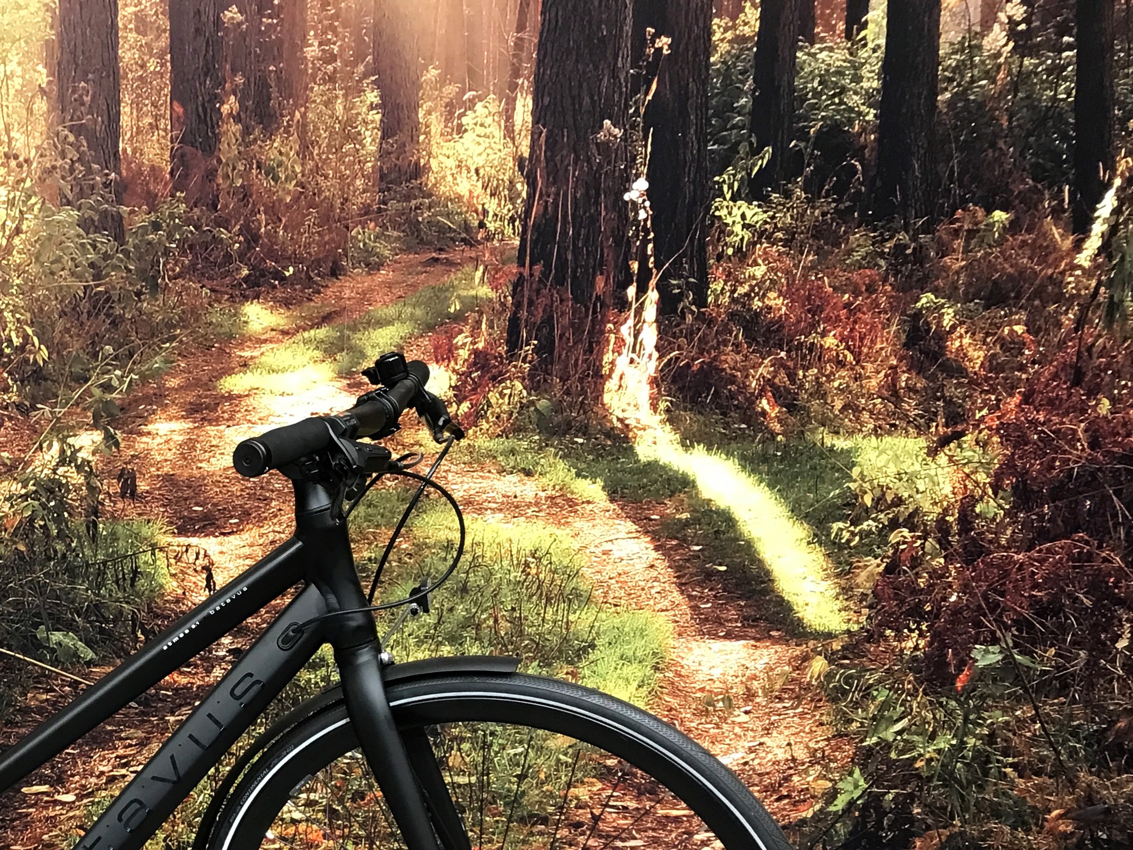 Batavus Sort Atmos 5.1 - 48 cm
