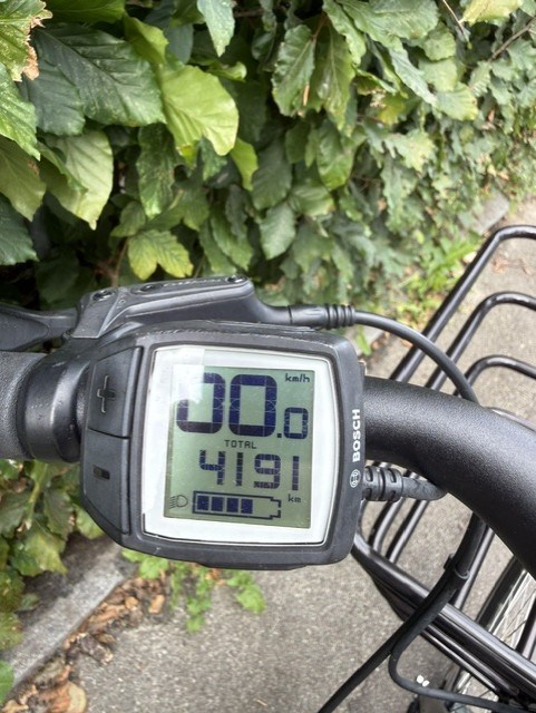 Batavus Brun Palermo E-Go - 53 cm
