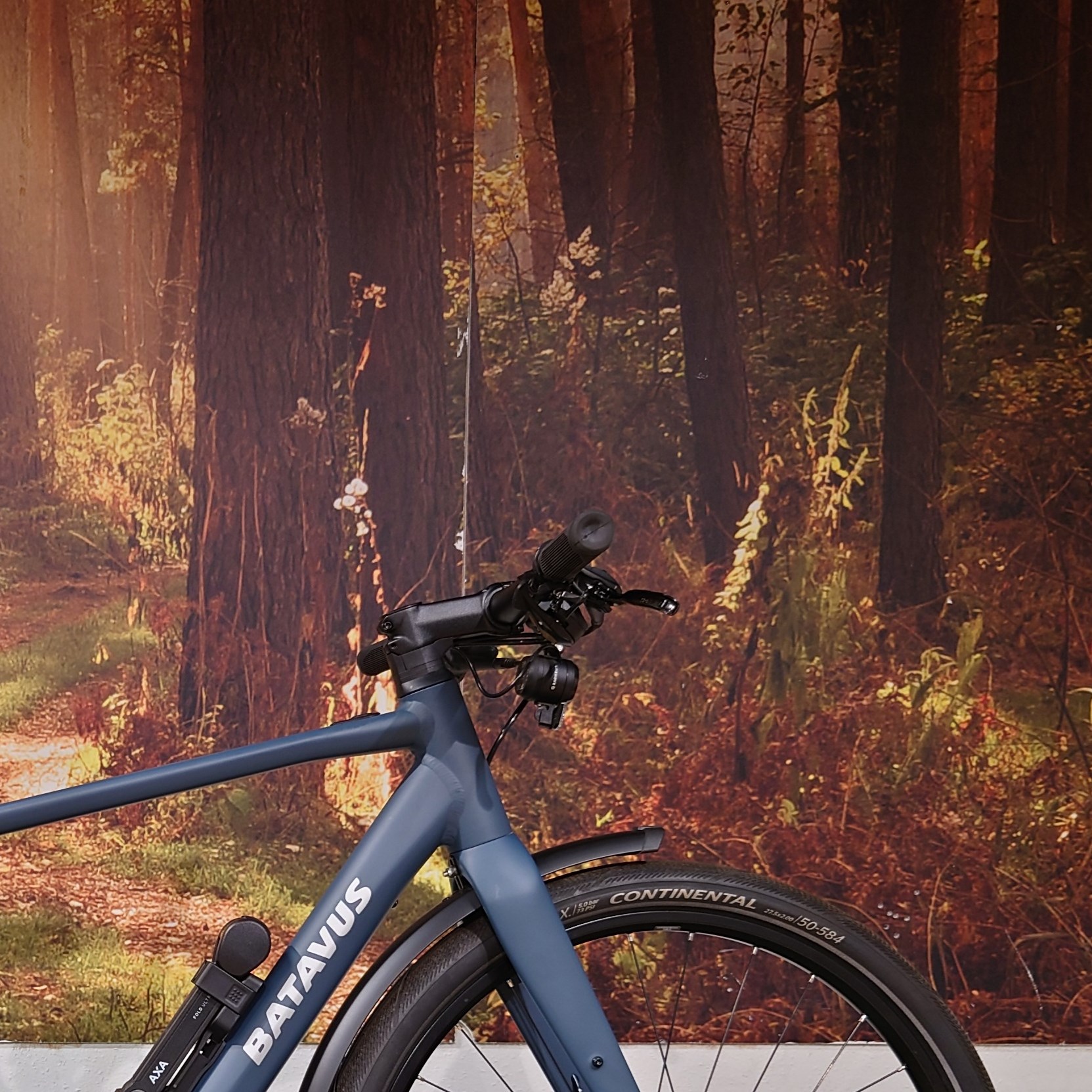 Batavus Blå Liner Sport - 50 cm