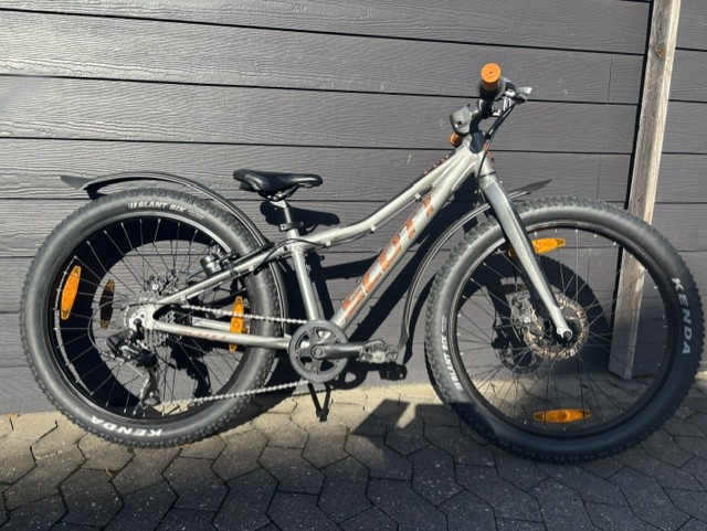 Roxter 24 - One-size