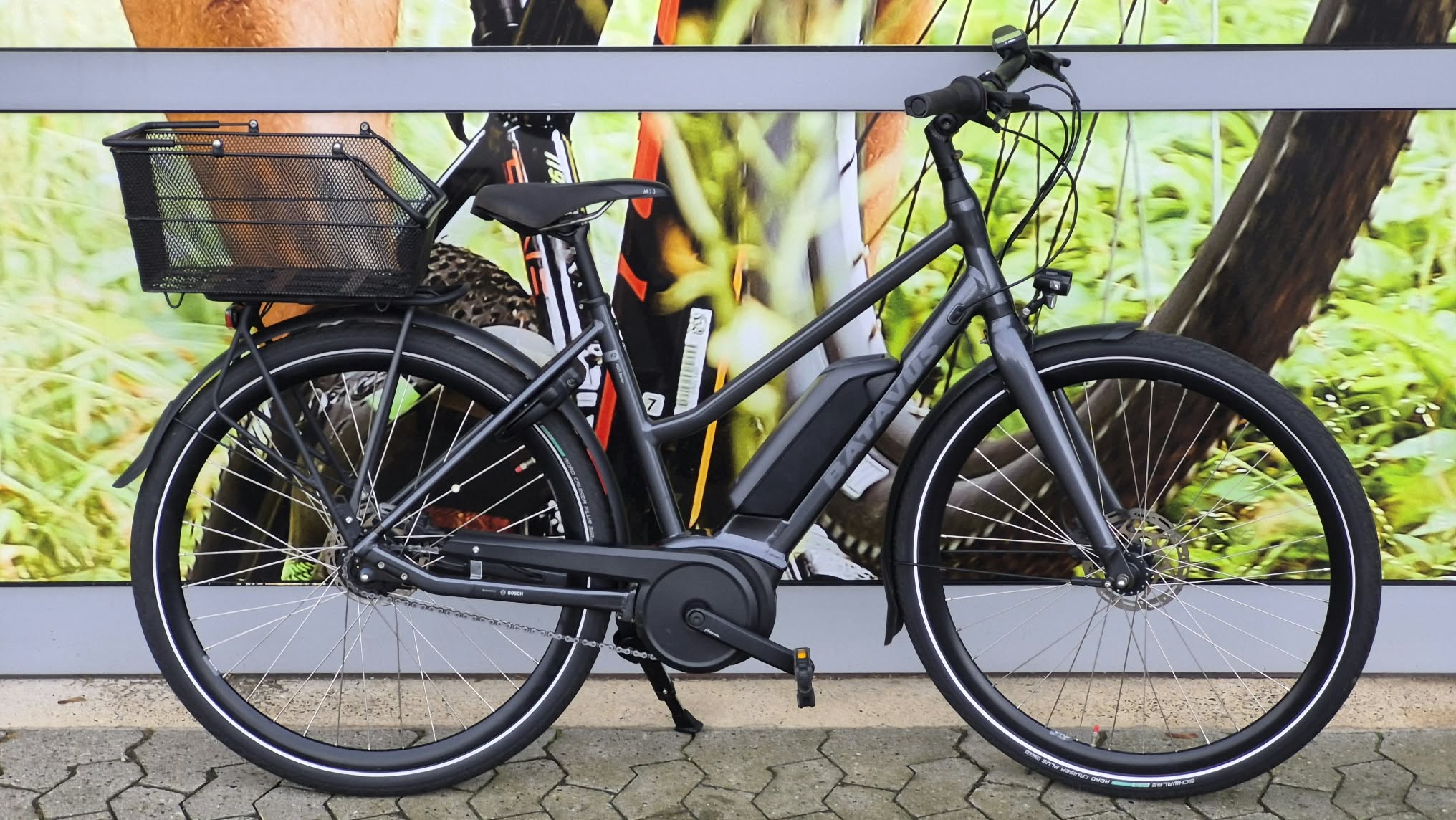 Razer E-Go Limited - 48 cm
