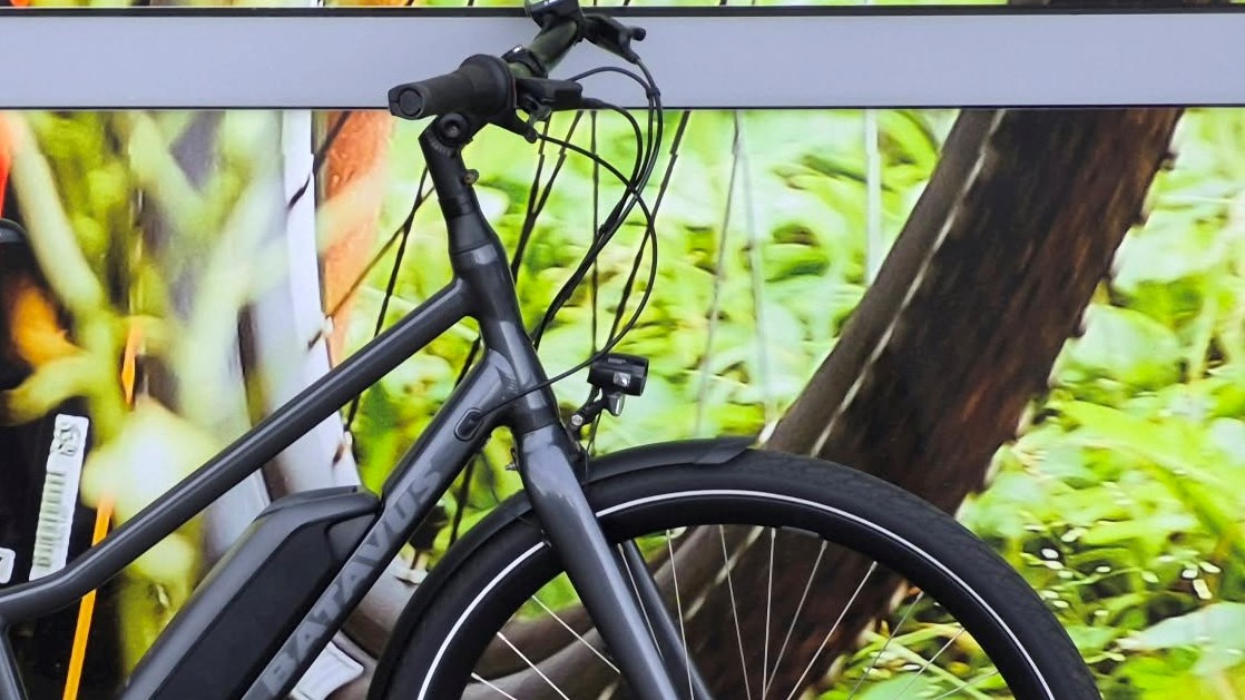 Batavus Grå Razer E-Go Limited - 48 cm