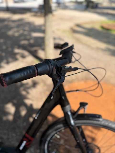 KOGA Blank Sort E-Nova Evo - 50 cm