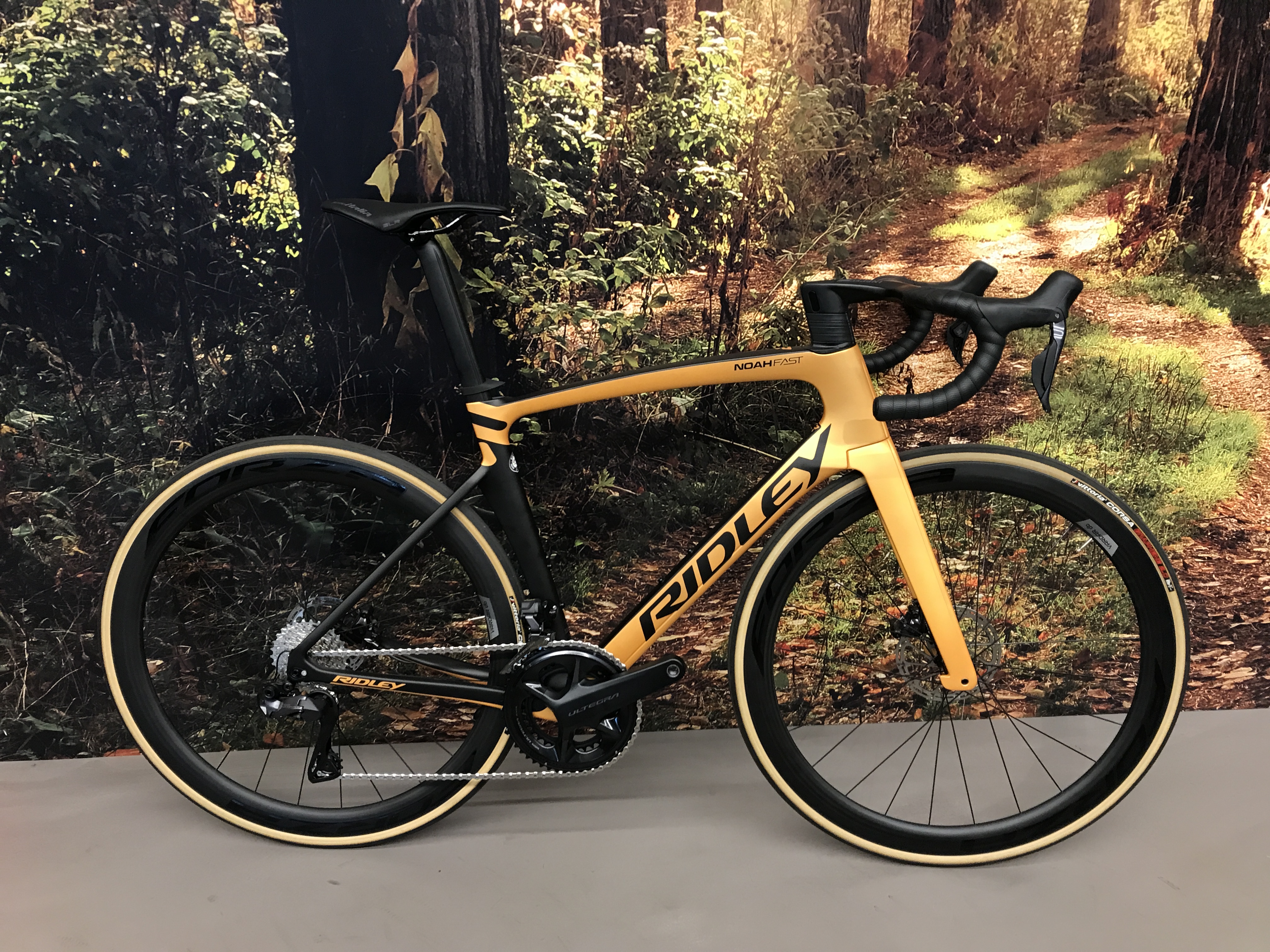 Noah Fast Disc Ultegra DI2 - S